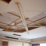 木工裝潢-橢圓形天花板