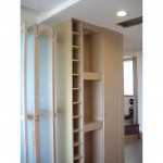 木工裝潢電視牆衣櫃展示置物雙面櫃