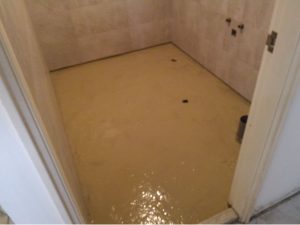 水泥工程＊彈性水泥防水